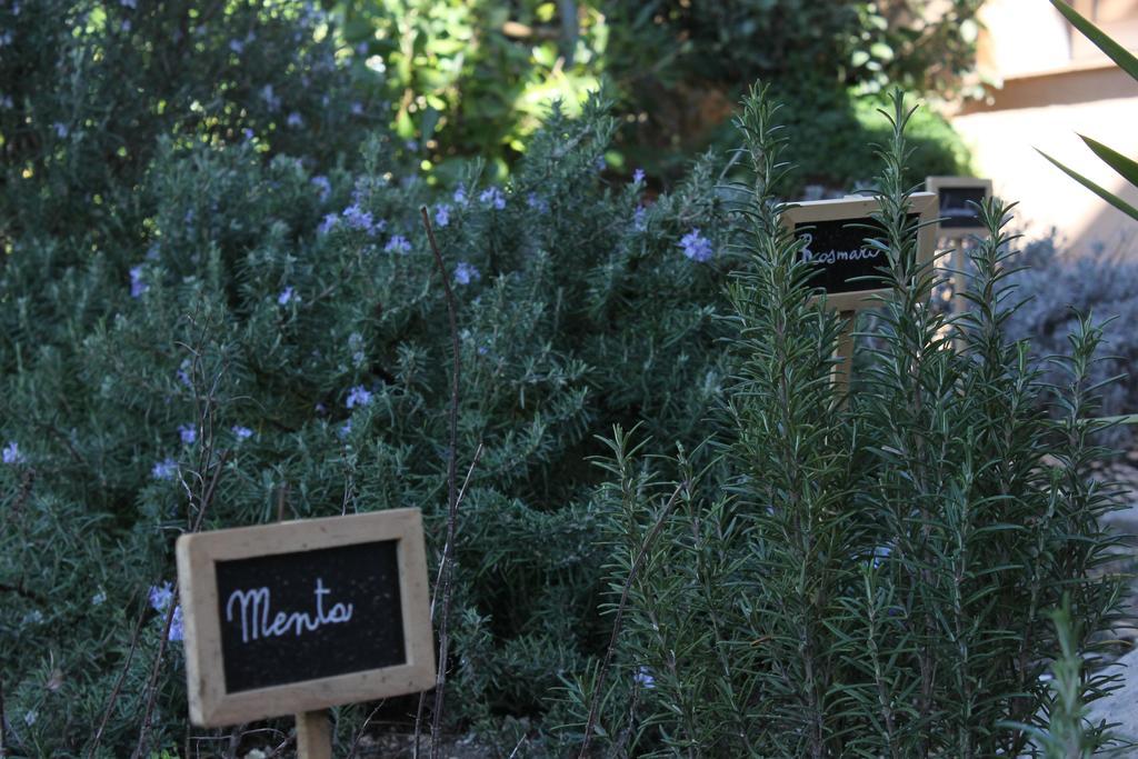 Bed and Breakfast La Caladina Mougins Exteriér fotografie